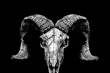 0bfdc246a8a04d0b17655282f640df10.1000x1000x1