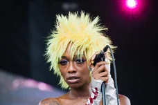 Afropunk Festival 2019