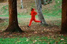 Scram Domo Genesis Graymatter